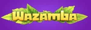 Winsbiz